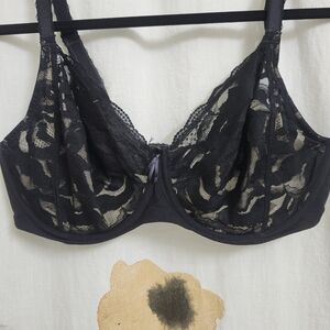 Wacoal #855223 Black Bra 38DD